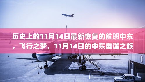 11月14日中东重逢之旅，飞行之梦恢复航班动态