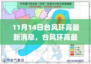 台风环高最新动态及应对指南（11月14日版）初学者与进阶用户必备参考