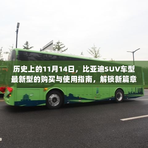 历史上的11月14日，比亚迪SUV车型最新型的购买与使用指南，解锁新篇章