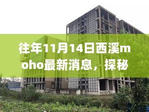 探秘西溪Moho隐藏小巷，特色小店惊喜之旅揭秘最新消息