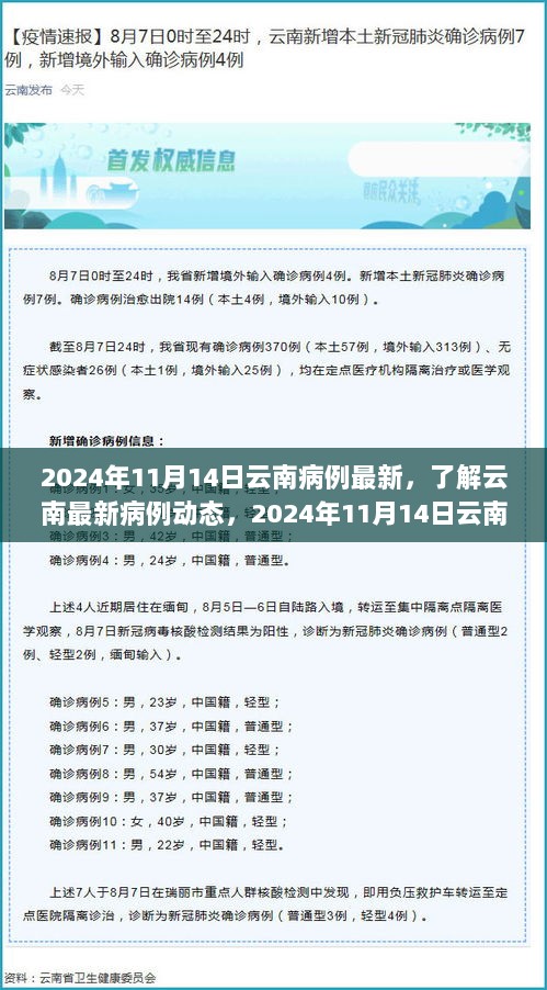 2024年11月14日云南病例最新动态，全面解析与步骤指南