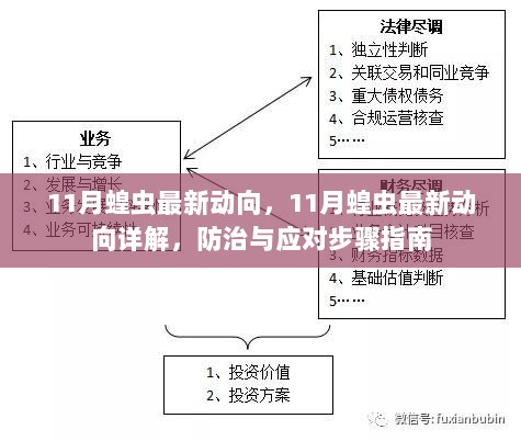 11月蝗虫最新动向详解及防治应对步骤指南