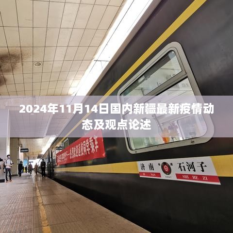 2024年11月14日国内新疆最新疫情动态及观点论述