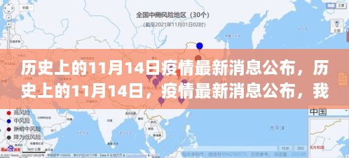 历史上的11月14日疫情更新，共同面对挑战与希望的信息公布日