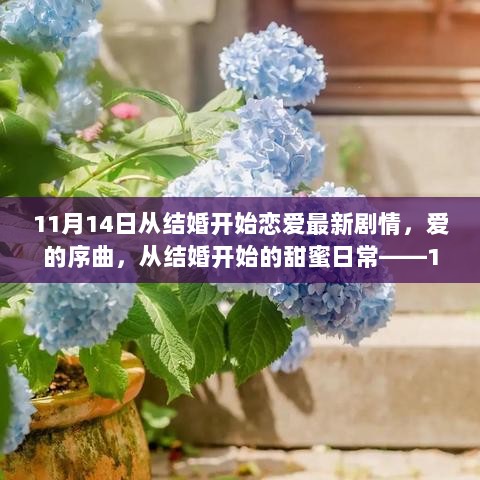 爱的序曲，从结婚开始的甜蜜日常——最新剧情预览