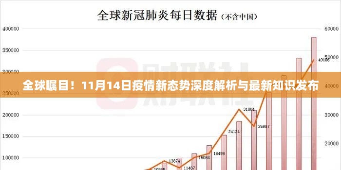 全球瞩目！11月14日疫情新态势深度解析与最新知识发布