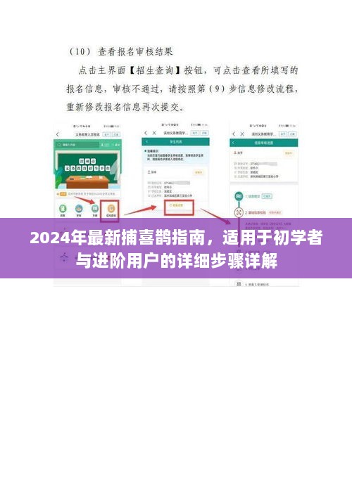 2024年最新捕喜鹊指南，适用于初学者与进阶用户的详细步骤详解