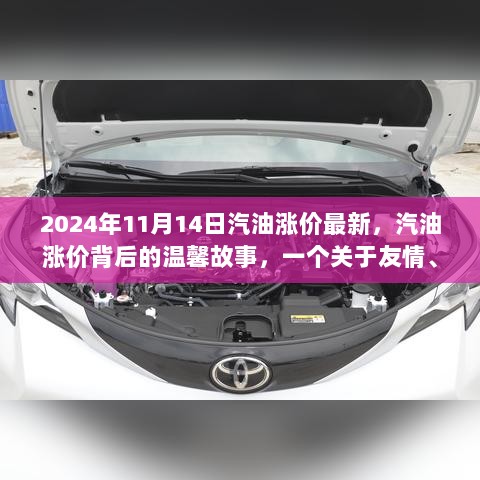 汽油涨价背后的温情故事，友情、家庭与陪伴的平凡日常（2024年11月14日最新）