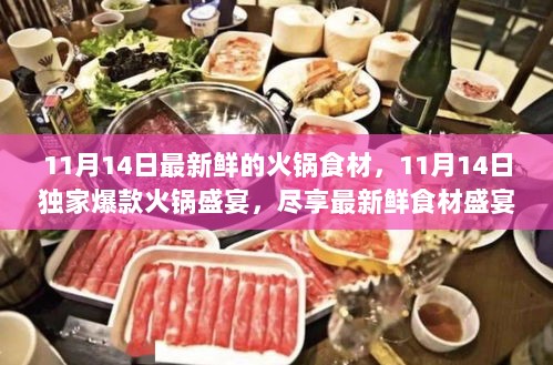 独家爆款盛宴，11月14日火锅盛宴，尽享最新鲜食材狂欢