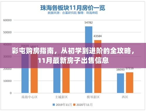 彩屯购房指南，从初学到进阶的全攻略，11月最新房子出售信息