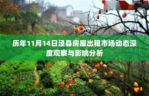 历年11月14日泾县房屋出租市场动态深度观察与影响分析