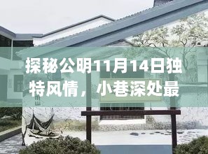 探秘公明11月14日独特风情，小巷深处最新小产权房故事揭秘