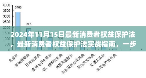 最新消费者权益保护法实战指南，全面解析与行使权益的步骤（2024版）