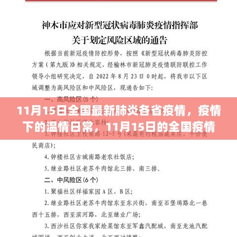 11月15日全国疫情最新动态，温情日常与暖心故事