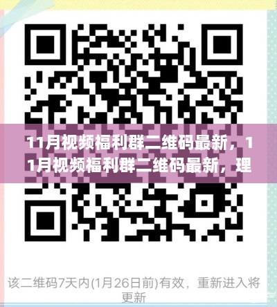 揭秘11月视频福利群真相，二维码最新揭秘与理性看待网络福利群现象