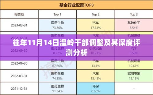 往年11月14日温岭干部调整及其深度评测分析