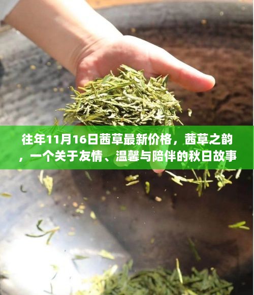 茜草之韵，秋日友情与温馨的价格揭秘