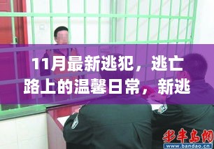 新逃犯逃亡路上的温馨日常与朋友间的故事