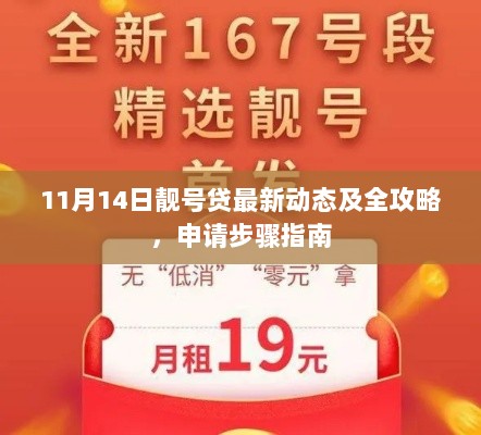 11月14日靓号贷最新动态及全攻略，申请步骤指南