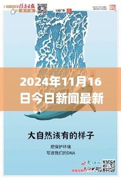 今日新闻焦点，友情趣事与家的温馨瞬间，2024年11月16日最新报道