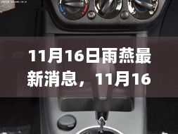 揭秘雨燕家族新进展，11月16日最新动态与消息速递