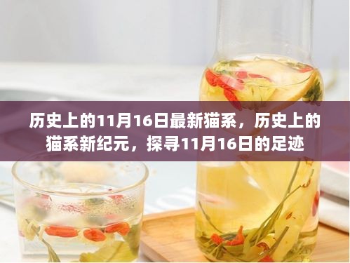 探寻猫系新纪元，历史上的猫系足迹与11月16日的印记