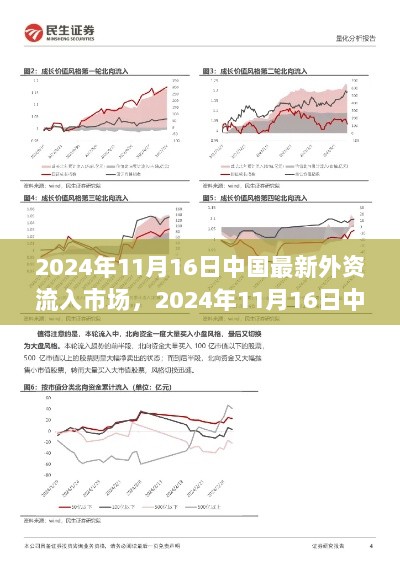 2024年11月外资流入中国市场趋势深度解析