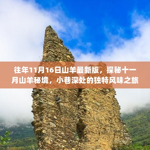 探秘十一月山羊秘境，最新山羊活动与小巷深处的独特风味之旅