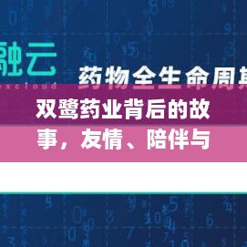 双鹭药业背后的故事，友情、陪伴与爱的力量（最新消息分享）