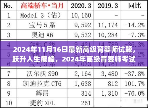 跃升人生巅峰，2024年高级育婴师考试新挑战与试题解析