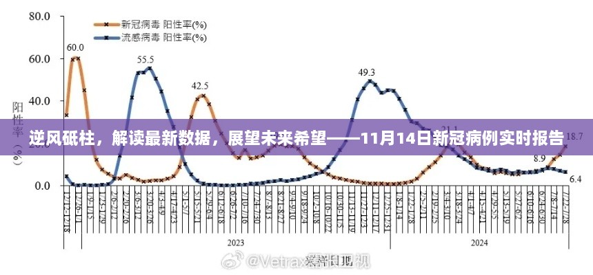 逆风砥柱，解读最新数据，展望未来希望——11月14日新冠病例实时报告