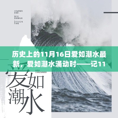 温馨日常回顾，爱如潮水涌动时的11月16日