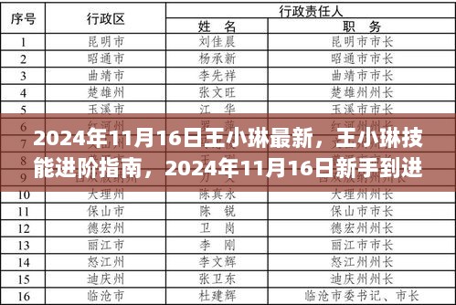 王小琳技能进阶指南，从新手到进阶的全面教程（2024年11月16日更新）