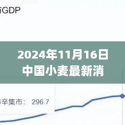 探秘麦香秘境，揭秘中国小麦最新消息与特色小店的奇遇——2024年11月报告