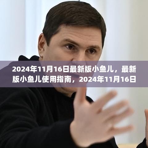 最新版小鱼儿使用指南，适合初学者与进阶用户的全面教程（2024年11月16日版）