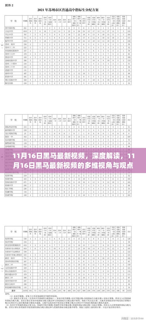 深度解读与多维视角碰撞，11月16日黑马最新视频揭秘