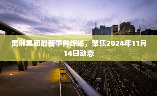 禹洲集团最新事件综述，聚焦2024年11月14日动态