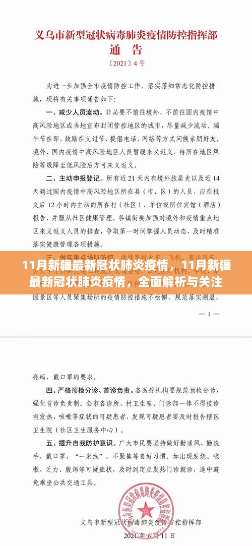 新疆最新冠状肺炎疫情全面解析与关注——聚焦11月最新动态