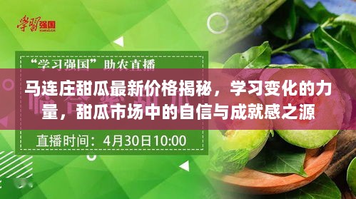 马连庄甜瓜最新价格揭秘，学习变化的力量，甜瓜市场中的自信与成就感之源