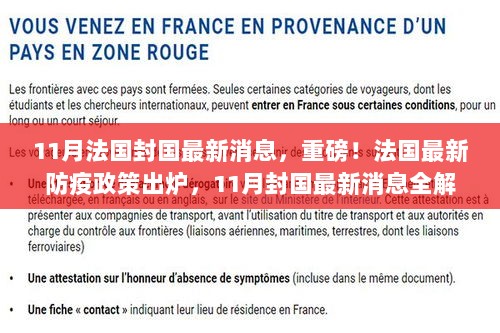 法国最新防疫政策与封国动态，全面解析11月最新消息