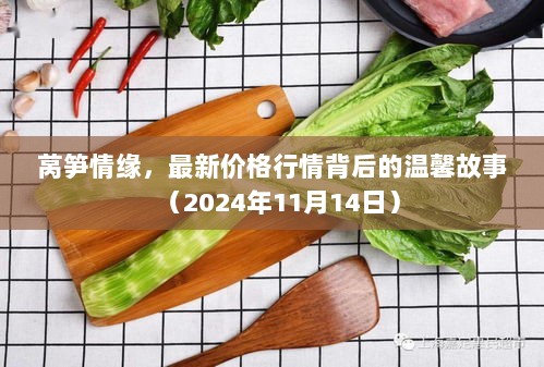 莴笋情缘，最新价格行情背后的温馨故事（2024年11月14日）