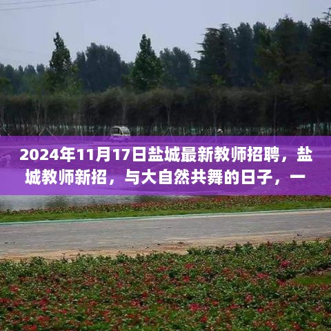 盐城最新教师招聘启事，与大自然共舞的绿色之旅，寻找内心平静的旅程