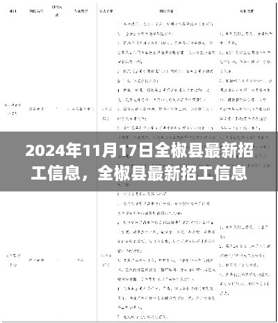 全椒县最新招工信息详解与高效求职应聘全攻略（2024年11月17日）