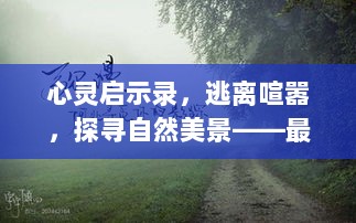 心灵启示录，逃离喧嚣，探寻自然美景——最新伦狸片之旅