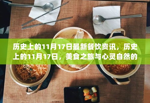 历史上的11月17日，美食之旅的奇妙邂逅与最新餐饮资讯回顾