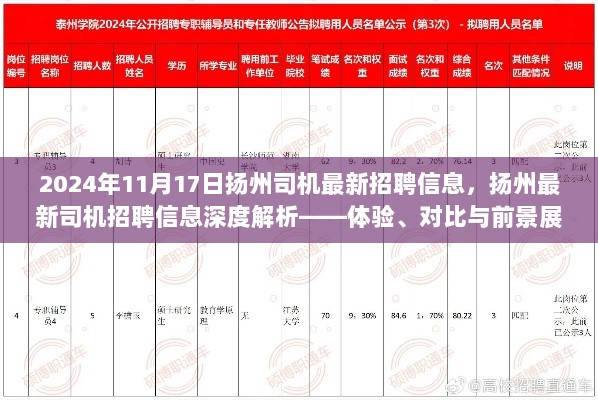 深度解析扬州司机最新招聘信息，体验、对比与前景展望（2024年11月）