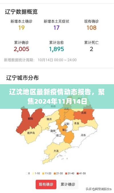 辽沈地区最新疫情动态报告，聚焦2024年11月14日