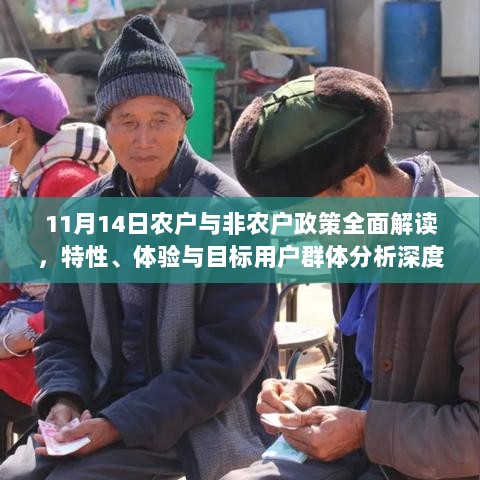 11月14日农户与非农户政策全面解读，特性、体验与目标用户群体分析深度探讨最新政策影响及解读