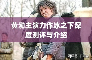 黄渤主演力作冰之下深度测评与介绍