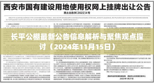 长平公棚最新公告信息解析与聚焦观点探讨（2024年11月15日）